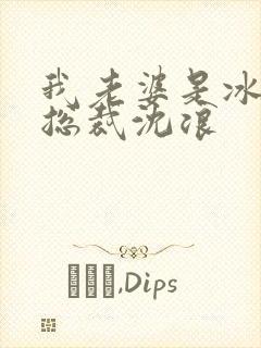 我老婆是冰山女总裁沈浪