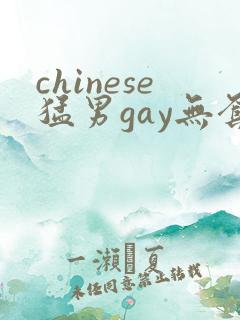 chinese猛男gay无套