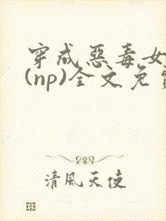 穿成恶毒女配后(np)全文免费阅读