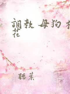 调教 母狗 校花