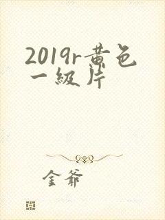 2019r黄色一级片