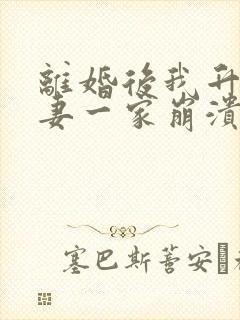 离婚后我升官前妻一家崩溃了