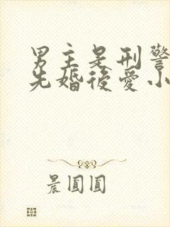 男主是刑警队长先婚后爱小说