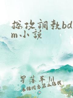 总攻调教bdsm小说