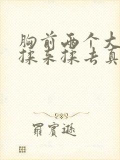 胸前两个大奶子揉来揉去真爽