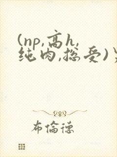 (np,高h,纯肉,总受)男男