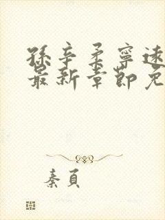 孙辛柔宁远小说最新章节免费阅读下