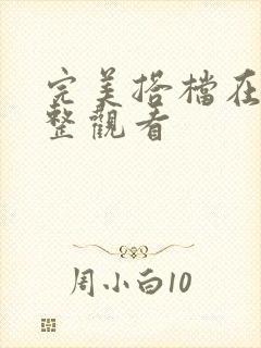 完美搭档在线完整观看