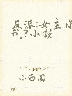 反派:女主你搞我?小说