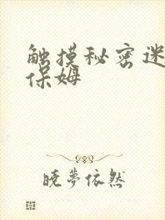 触摸秘密迷人的保姆