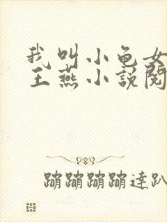 我叫小龟女友叫王燕小说阅读