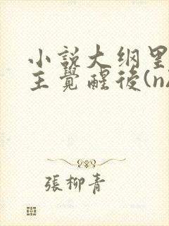 小说大纲里的女主觉醒后(n)