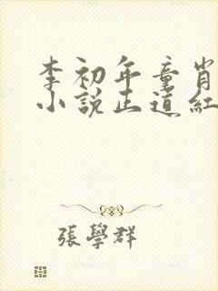 李初年童肖媛的小说正道红途