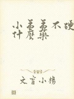 小弟弟不硬吃点什么药