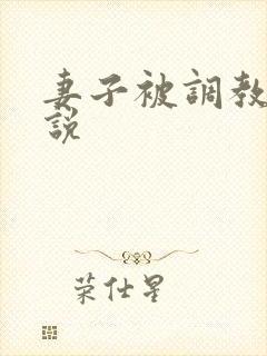 妻子被调教的小说