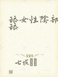 舔女性阴部怎么舔