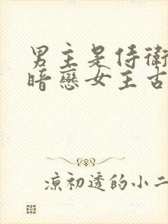 男主是侍卫从小暗恋女主古言