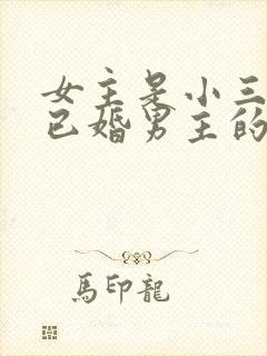 女主是小三勾搭已婚男主的文