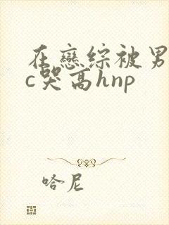 在恋综被男主们c哭高hnp