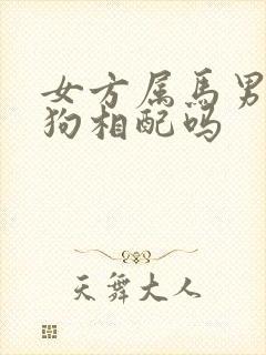 女方属马男方属狗相配吗