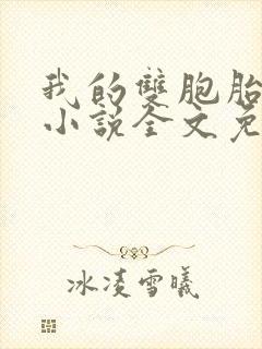 我的双胞胎老婆小说全文免费阅读