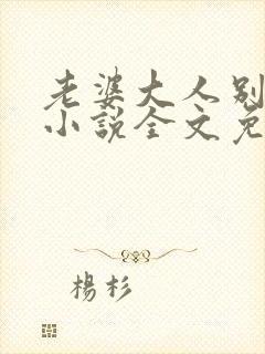 老婆大人别想逃小说全文免费阅读