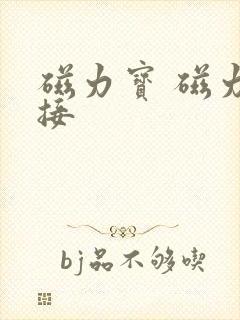 磁力宝 磁力链接