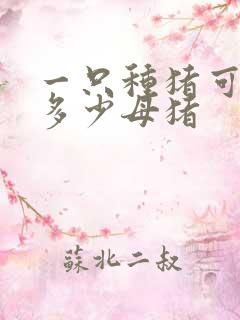 一只种猪可以配多少母猪