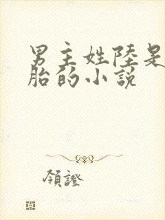 男主姓陆是双胞胎的小说