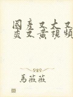 国产又大又猛又爽又黄视频