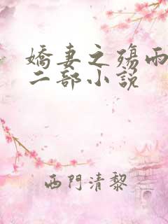 娇妻之殇雨娴第二部小说