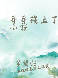 哥哥强上了弟弟小说