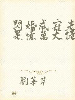 闪婚成宠老公竟是亿万大佬