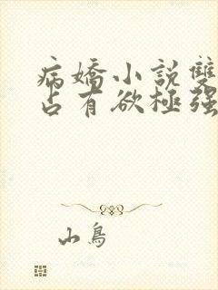 病娇小说双男主占有欲极强