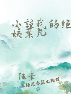 小说我的绝色小姨叶凡