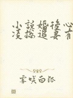 小说婚后心动:凌总追妻有点甜大结局