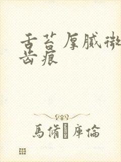 舌苔厚腻微黄有齿痕