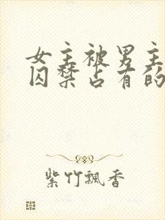 女主被男主疯狂囚禁占有的小说