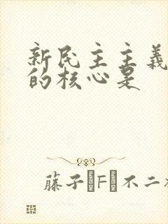 新民主主义革命的核心是