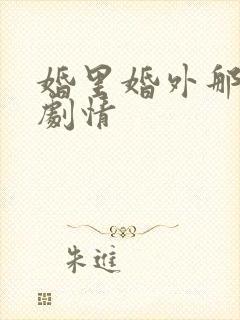 婚里婚外那些事剧情