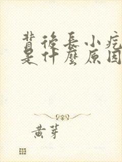 背后长小疙瘩痒是什么原因