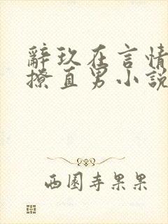 辞玖在言情文里撩直男小说