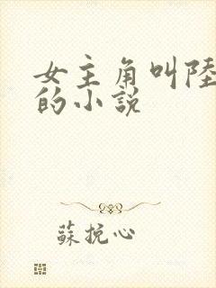 女主角叫陆清欢的小说