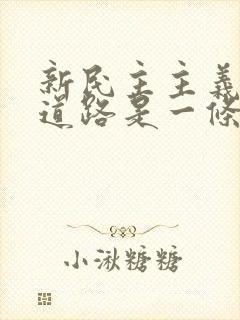 新民主主义革命道路是一条