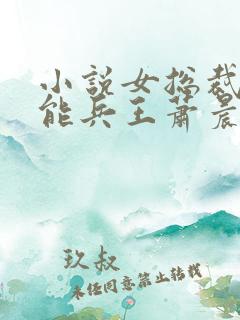 小说女总裁的全能兵王萧晨