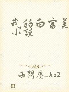 我的白富美老婆小说