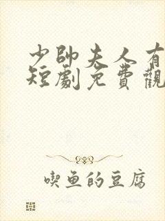 少帅夫人有点野短剧免费观看