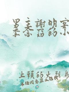 男主谢明宴女主季念窈的小说