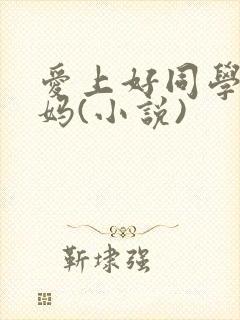 爱上好同学的妈妈(小说)