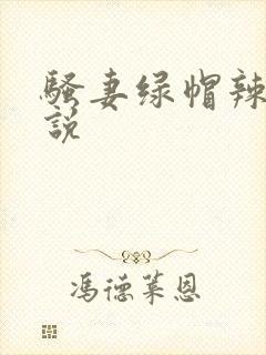 骚妻绿帽辣文小说